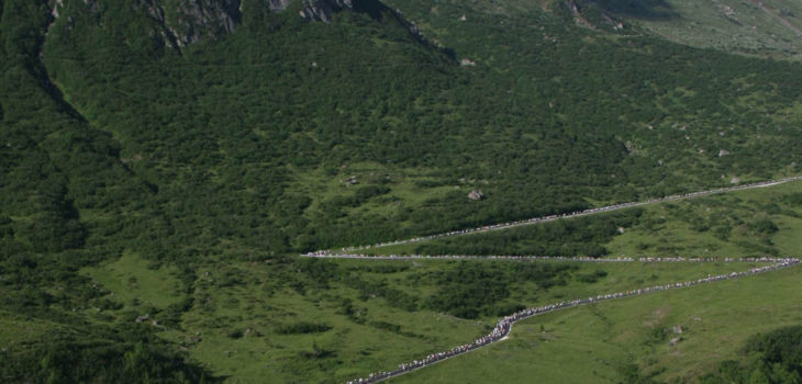 Maratona dles Dolomites - Passo Pordoi