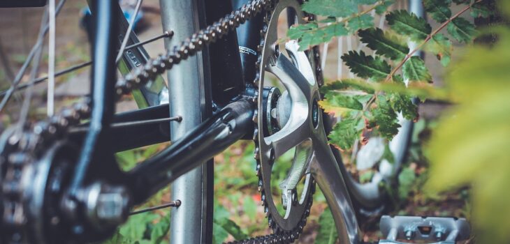 Trasmissione di una bicicletta